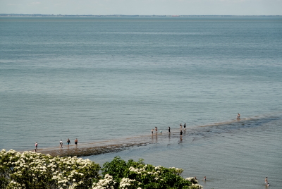 Whitstable Bay